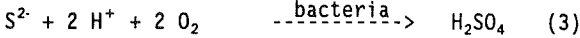 bioleaching-of-cadmium-sulfide-equation