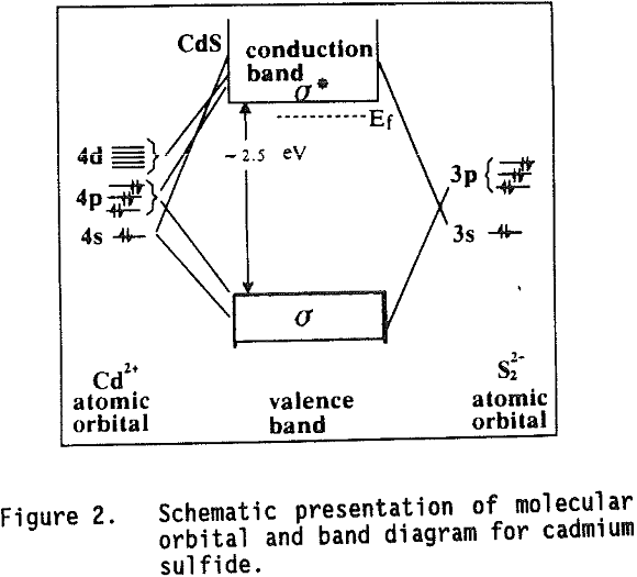 bioleaching-of-cadmium-sulfide-molecular-orbital