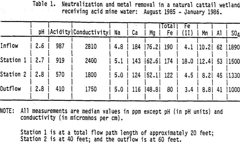 constructing-wetland-acid-mine-water