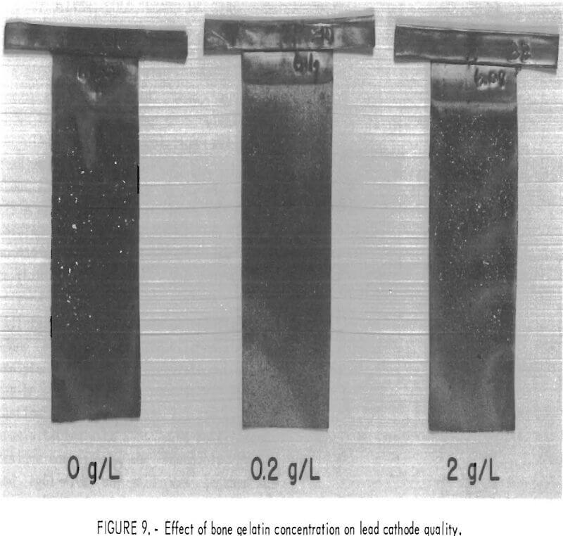 leach-solution effect of bone gelatin concentration