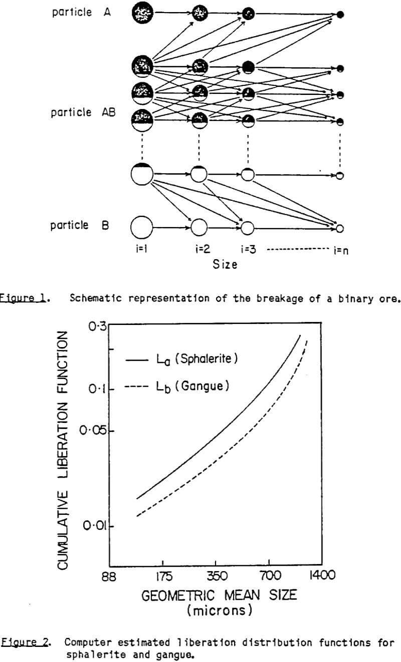 liberation-model-of-grinding distribution function