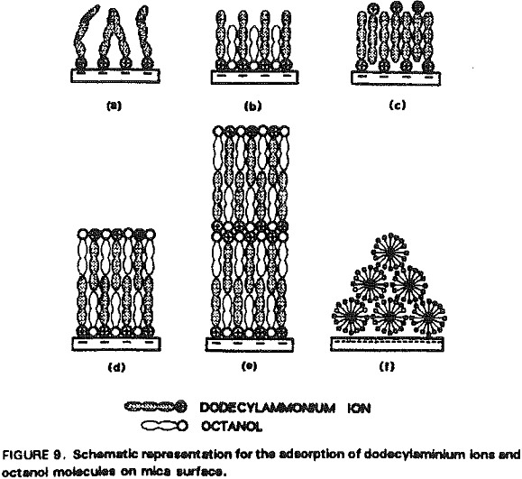 amine flotation adsorption