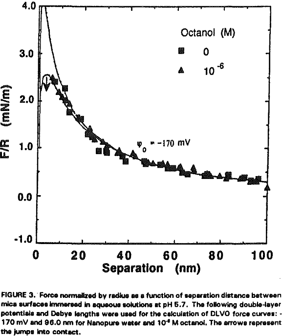 amine flotation double layer potentials