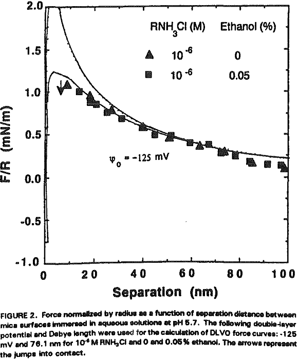 amine flotation force normalized by radius as a function