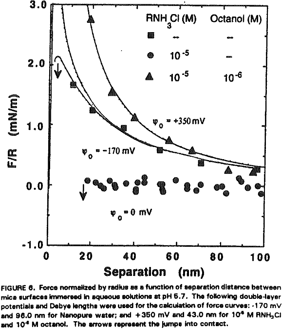 amine flotation mica surfaces