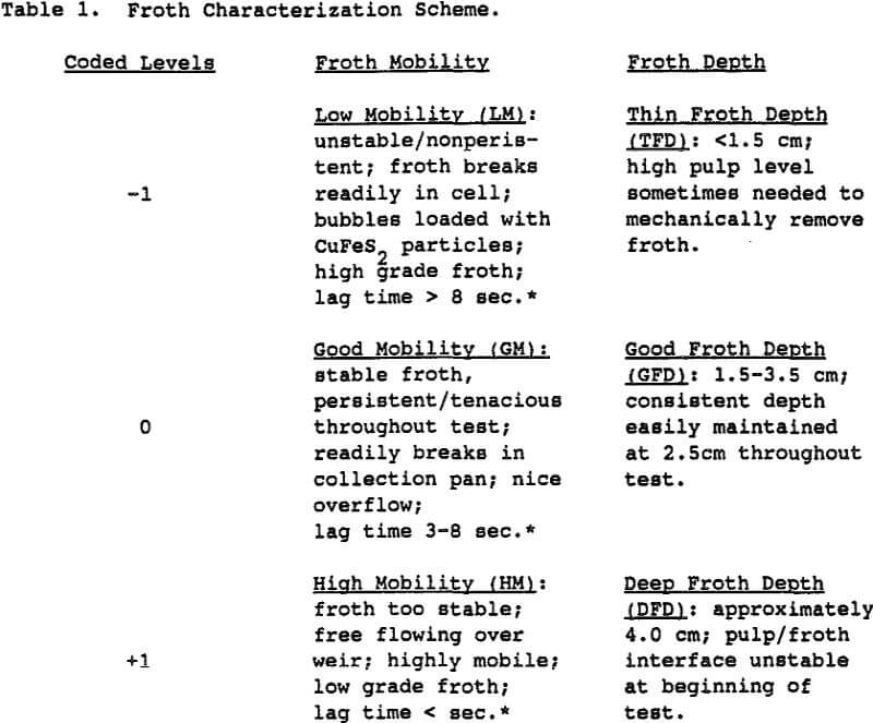 flotation froth characterization scheme