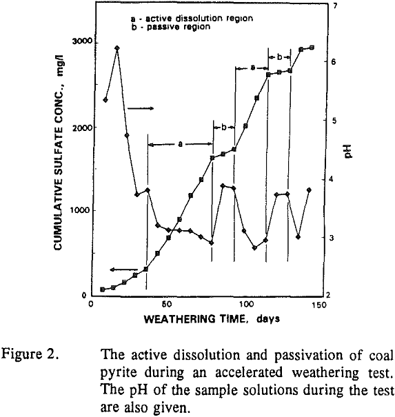 kinetics-of-pyrite-oxidation sample solution