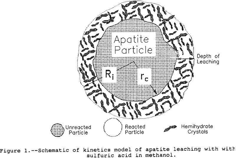 leaching-of-apatite kinetics model