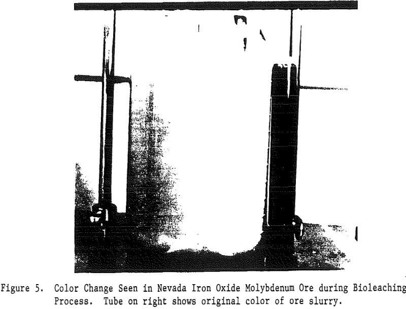 bioreduction bioleaching color change