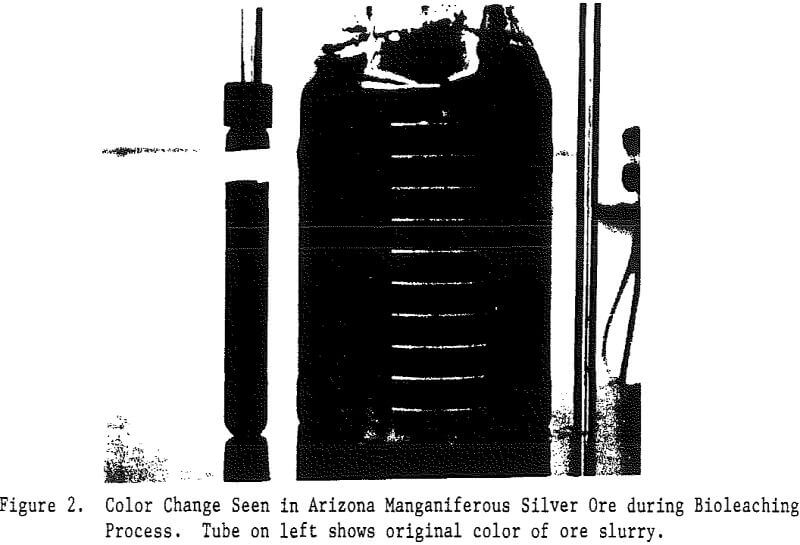 bioreduction bioleaching process