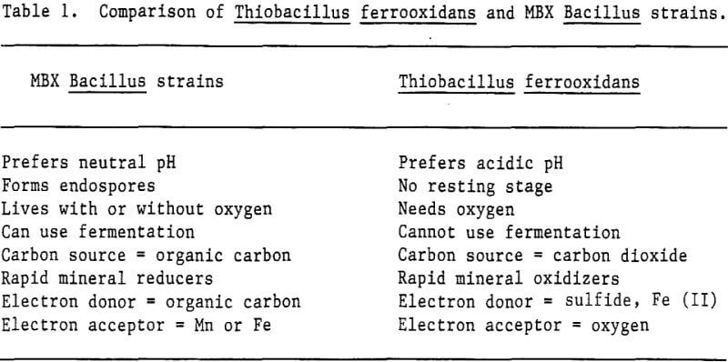 bioreduction-comparison-of-thiobacilus-ferrooxidans-and-mbx-bacillus-strains