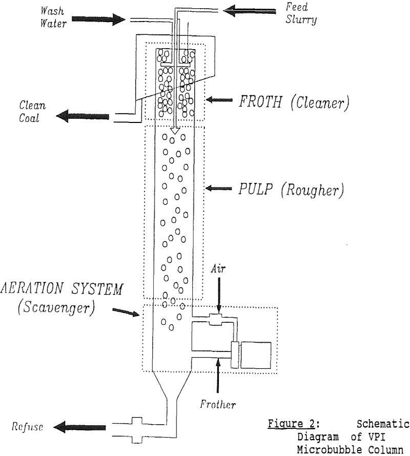 coal-cleaning microbubble column