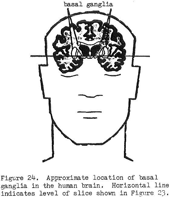 inductive-electrostatic-gradiometry basal ganglia