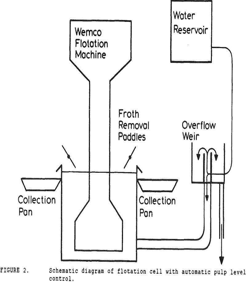 pyrite recovery flotation cell