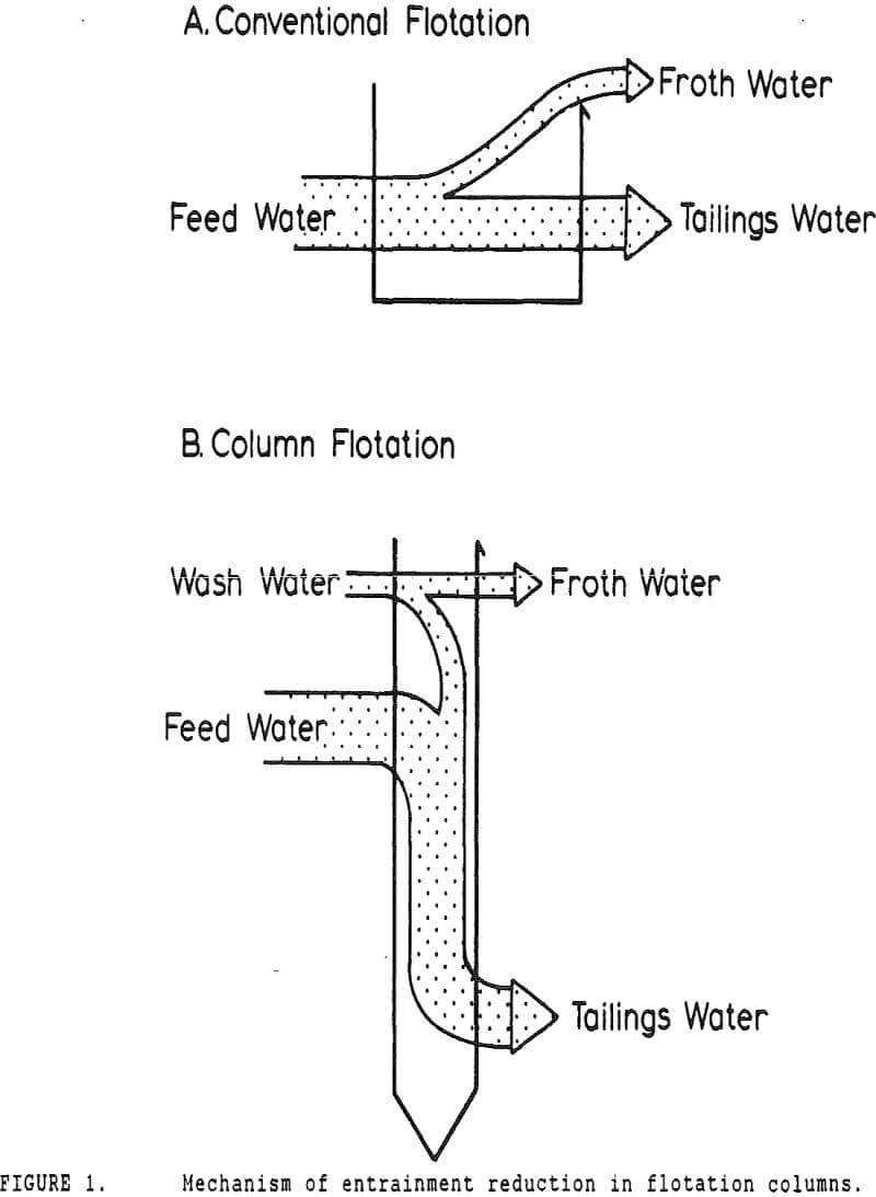 pyrite recovery flotation columns