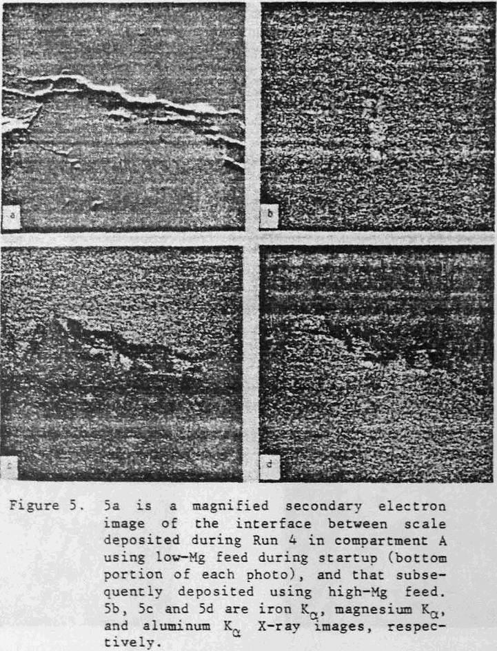 acid pressure leaching magnified secondary electron image