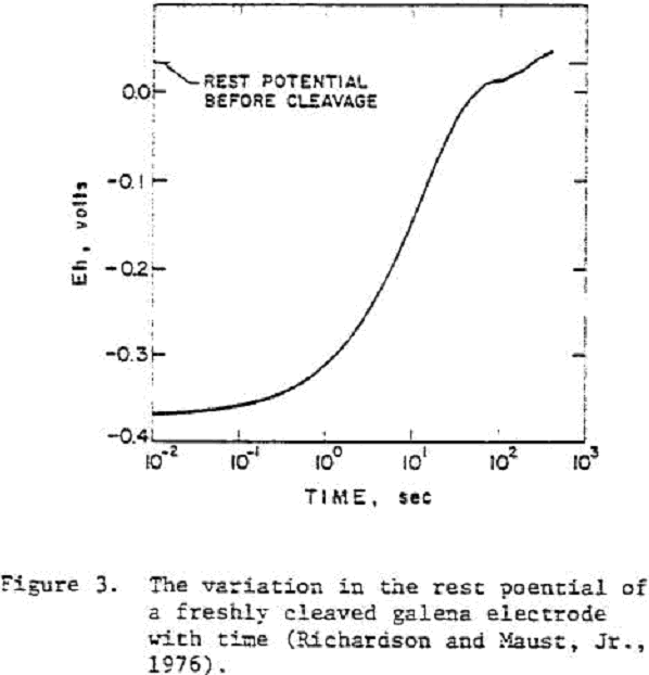 depression-of-sulfide variation in rest potential