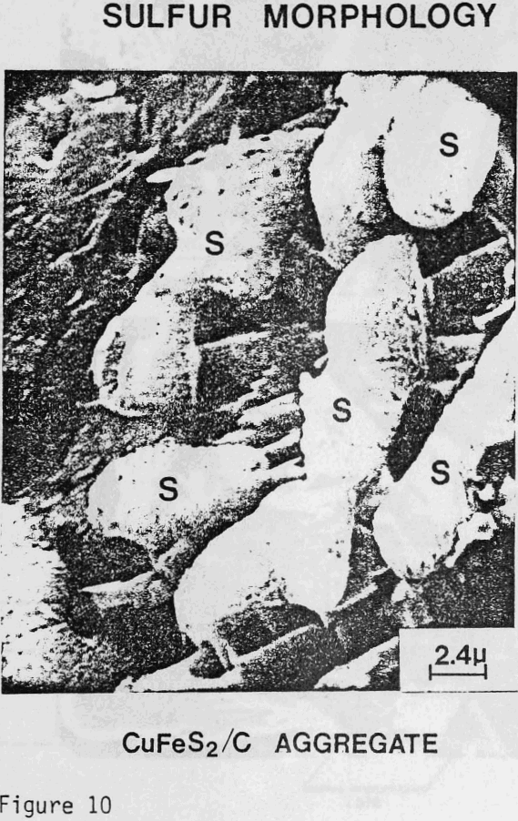 ferric sulfate leaching sem photomicrograph