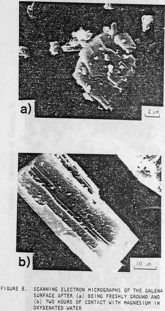 grinding-media scanning electron micrographs