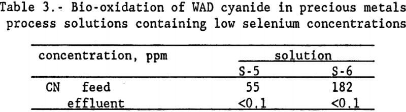 heap-rinsing-bio-oxidation