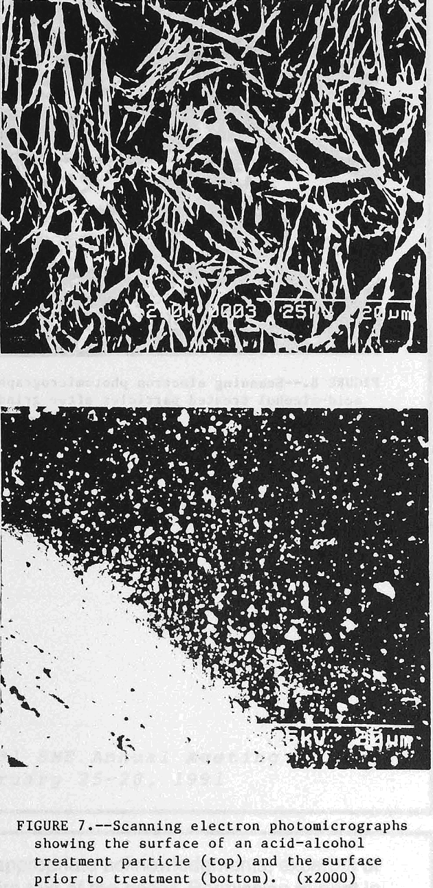 apatite-particles acid alcohol treatment