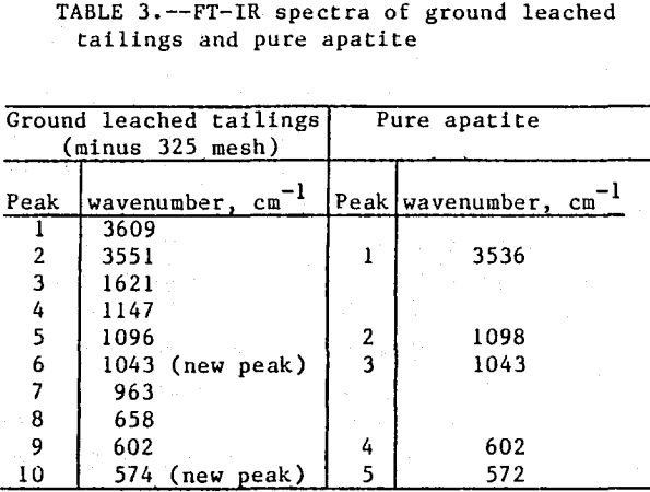 apatite-particles-ground-leached-tailings