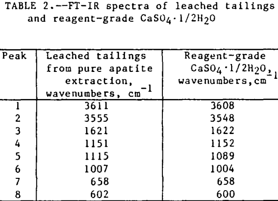 apatite-particles-leached-tailings