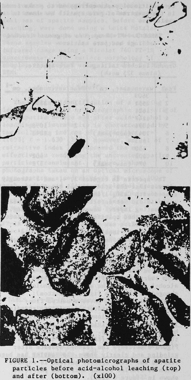 apatite-particles optical photomicrographs