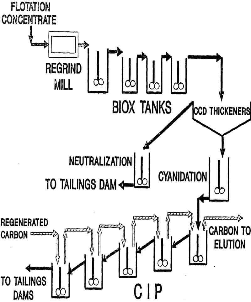 bacterial-oxidation cip