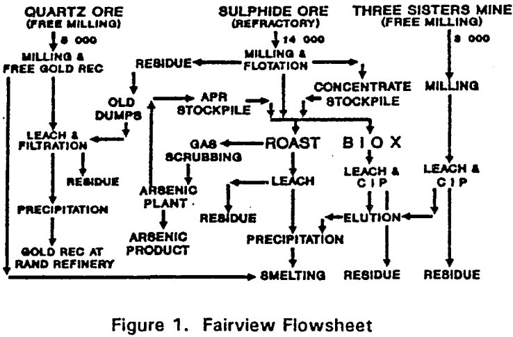 bacterial-oxidation-fairview-flowsheet