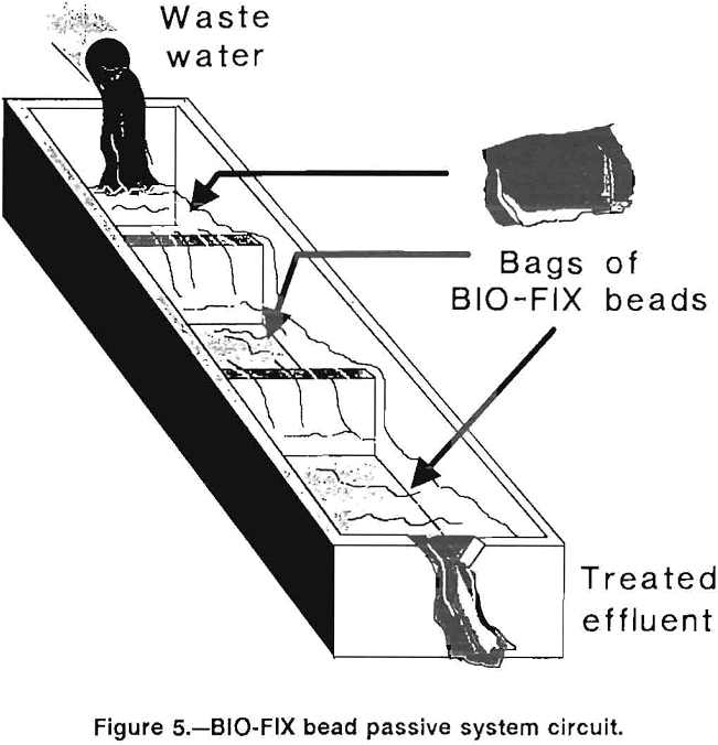 biosorption of metal bio-fix bead passive system circuit