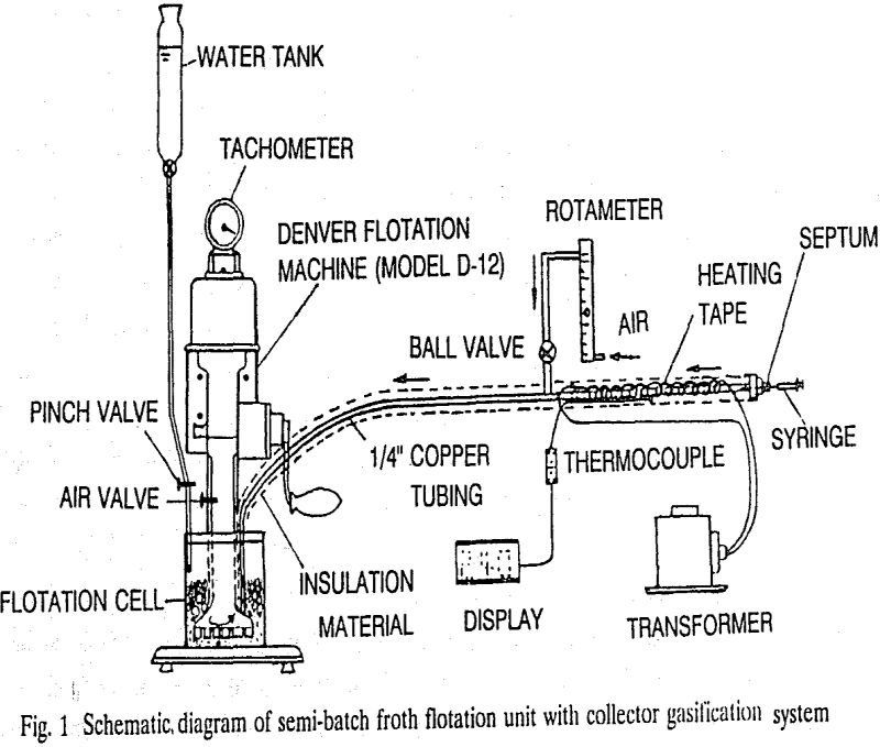 flotation gasification system