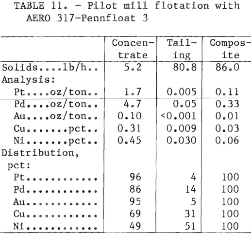 flotation-pilot-mill-composite