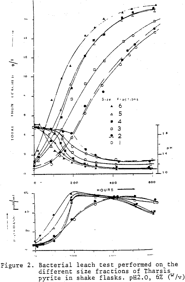 leaching bacterial leach test