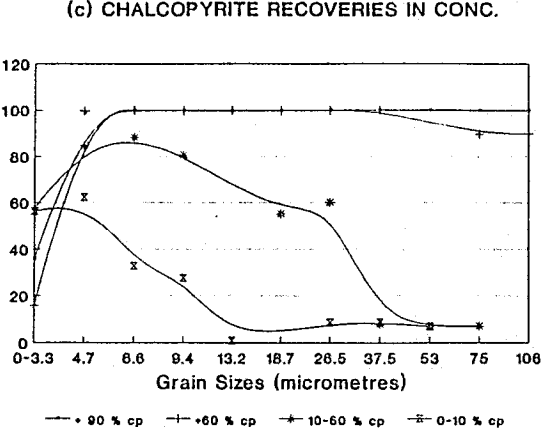 mineral-liberations-chalcopyrite-recoveries-in-conc