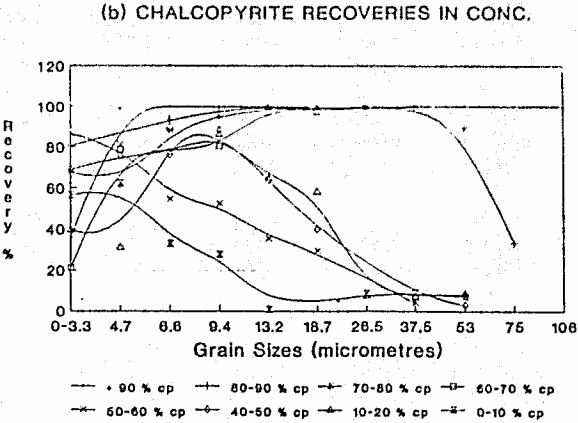 mineral-liberations-chalcopyrite-recoveries