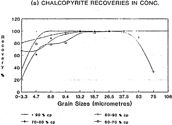 mineral-liberations-chalcopyrite