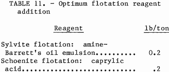 potash-recovery-optimum-flotation