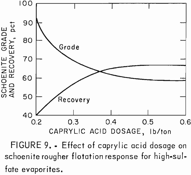 potash recovery rougher flotation