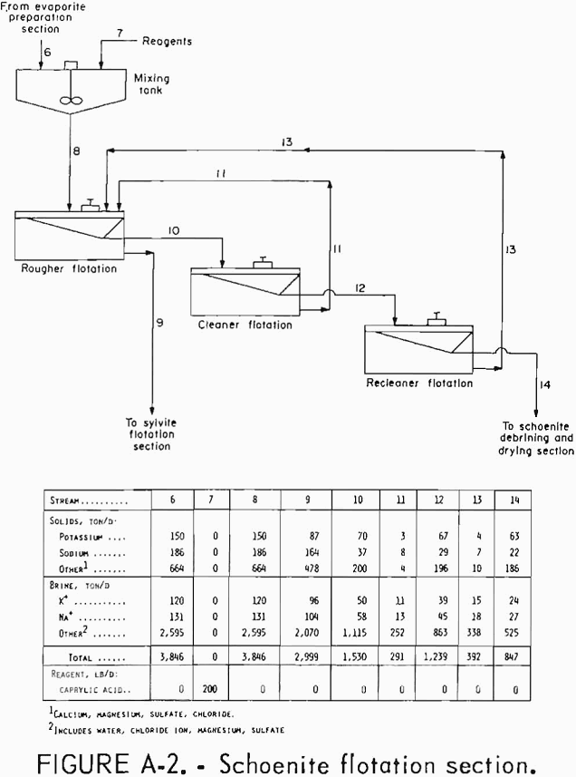 potash recovery schoenite flotation section