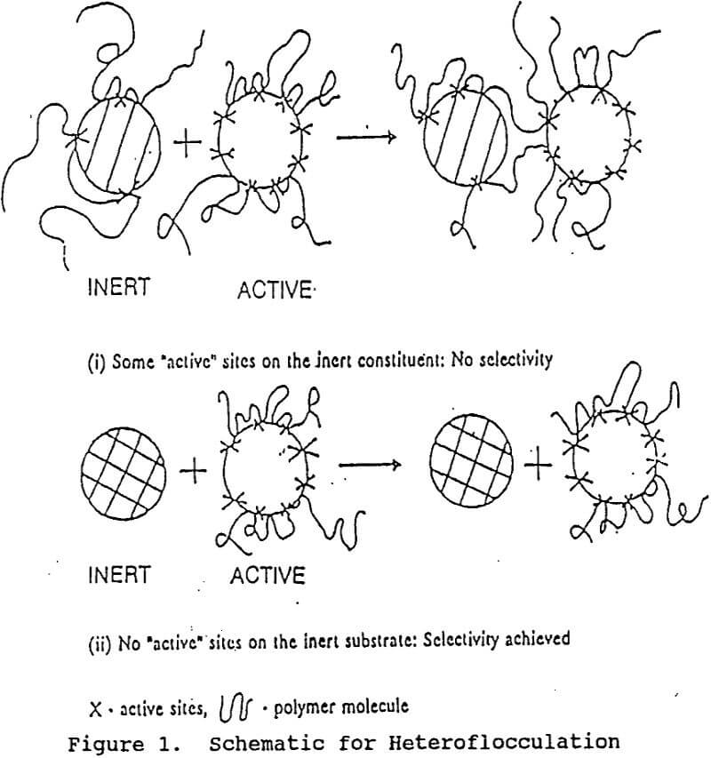 selective flocculation process schematic for heteroflocculation