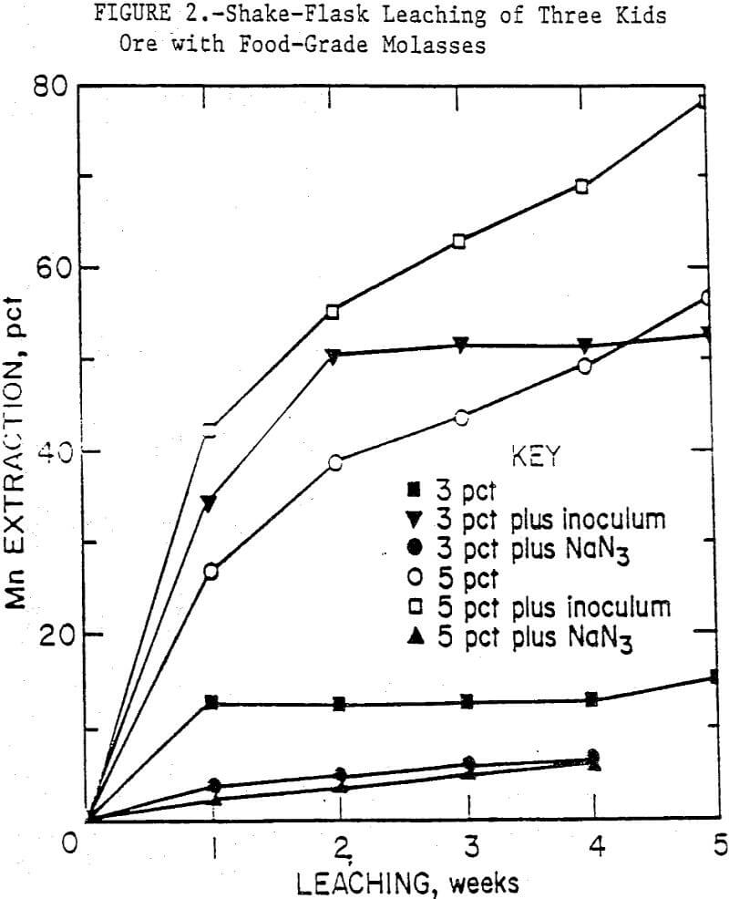 biological-leaching shake flask