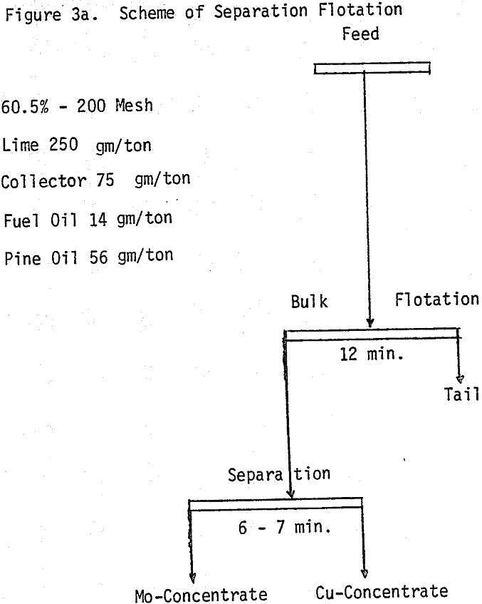 copper-moly separation flotation feed