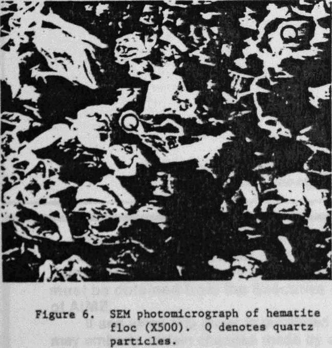 flocculants sem photomicrograph