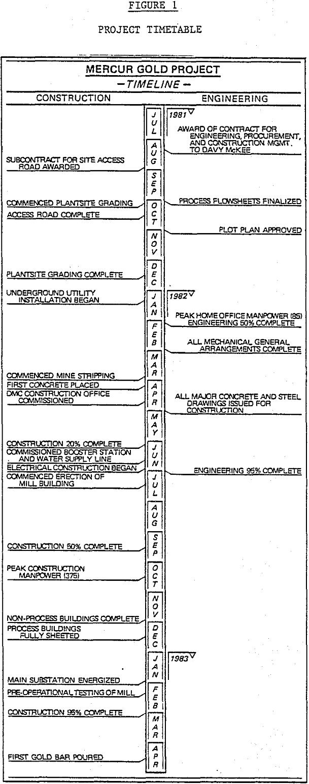 gold ore processing project timetable