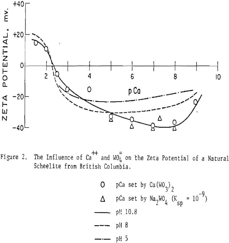 selective-flotation-soluble-minerals influence of ca