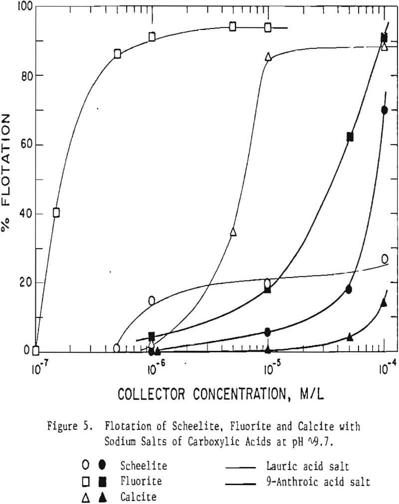 selective-flotation-soluble-minerals scheelite