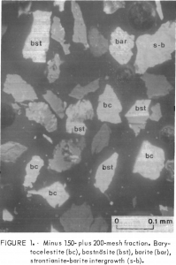 flotation of rare earths mesh fraction