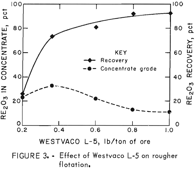 flotation of rare earths rougher flotation