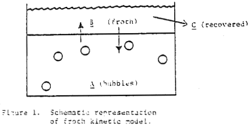 froth-flotation-kinetic-model